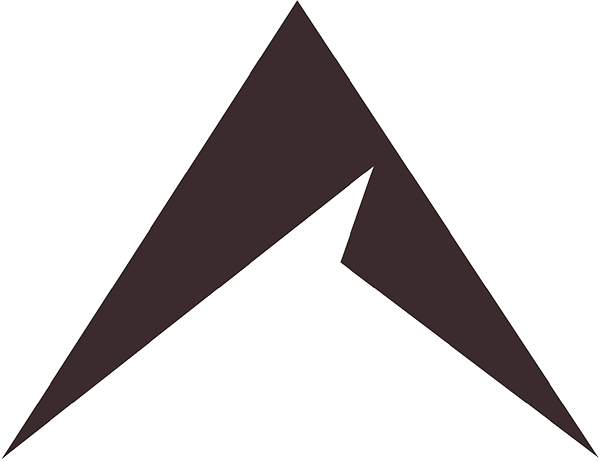 APEX Logo