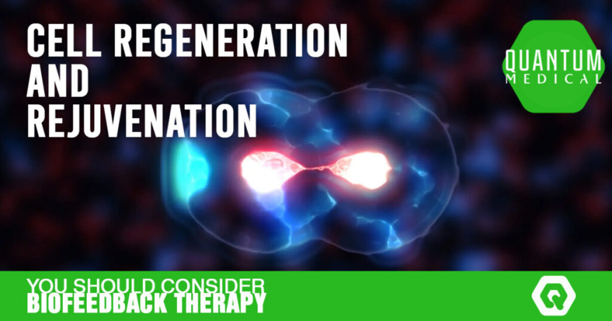 Cell regeneration and rejuvenation