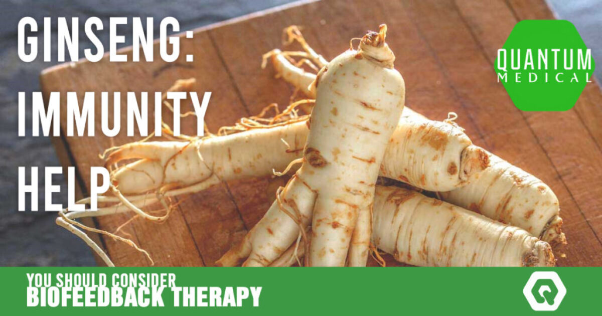 Ginseng least known immunity help — Quantum Medical